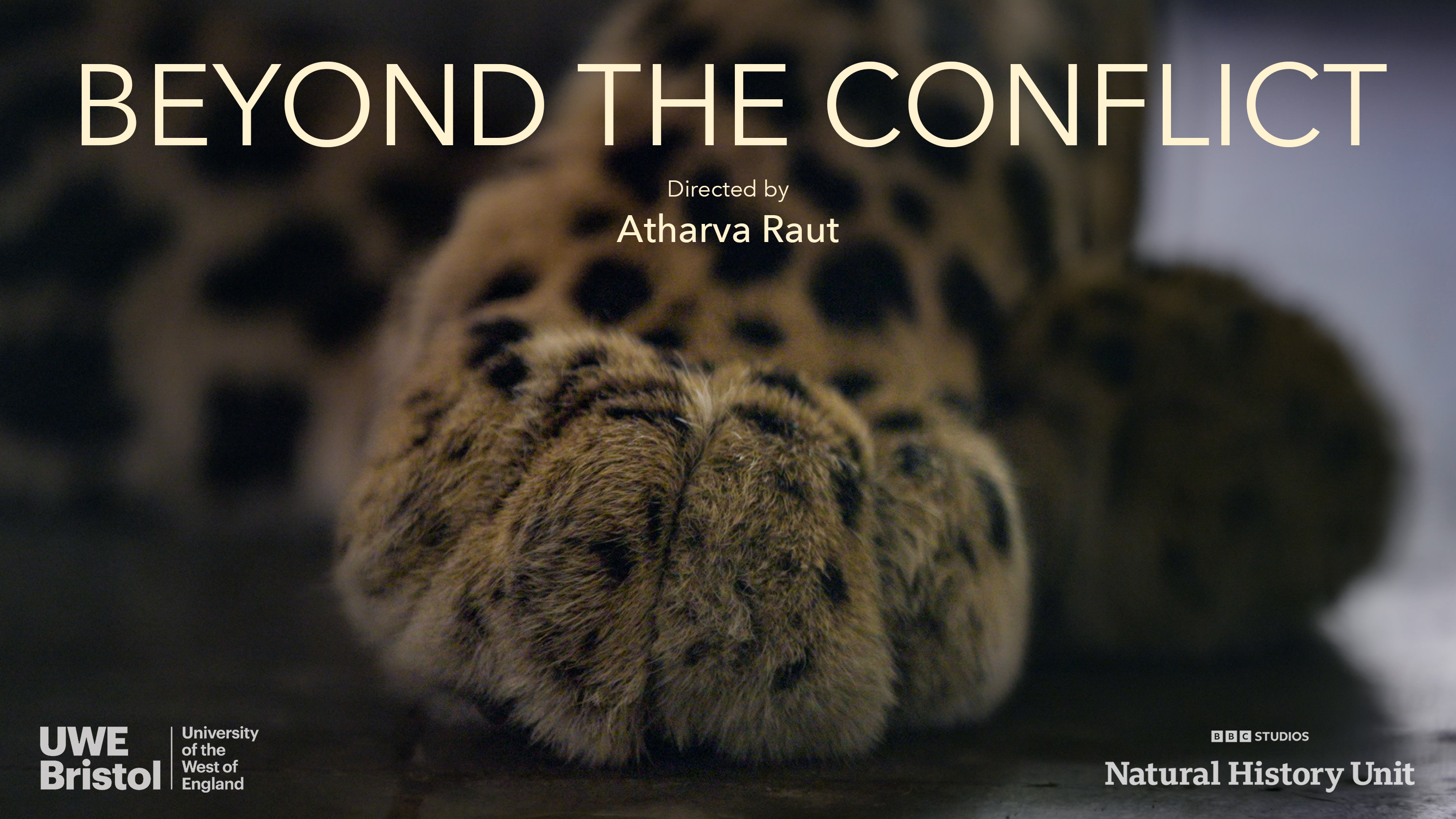 Beyond the Conflict